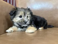 processed/4a1736c7-8442-4156-a4c3-dd7dfab1d2f4/listing/942634f4-e188-4eb1-ae3a-82756d7996bd/250a1f7f-2cce-47d1-84ee-799248d952e4