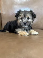 processed/4a1736c7-8442-4156-a4c3-dd7dfab1d2f4/listing/942634f4-e188-4eb1-ae3a-82756d7996bd/2bdbdeb6-e193-4739-afb1-bb99934587e2