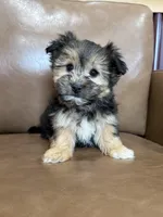 processed/4a1736c7-8442-4156-a4c3-dd7dfab1d2f4/listing/942634f4-e188-4eb1-ae3a-82756d7996bd/37400533-357a-497a-a6ad-4810dc002558