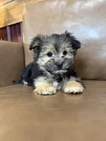 processed/4a1736c7-8442-4156-a4c3-dd7dfab1d2f4/listing/942634f4-e188-4eb1-ae3a-82756d7996bd/3c23f653-9141-4573-bf7c-87f2f5f5e2ad