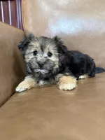 processed/4a1736c7-8442-4156-a4c3-dd7dfab1d2f4/listing/942634f4-e188-4eb1-ae3a-82756d7996bd/59dd0272-0d63-4d13-a353-42d1f79572bc