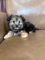 processed/4a1736c7-8442-4156-a4c3-dd7dfab1d2f4/listing/942634f4-e188-4eb1-ae3a-82756d7996bd/934ea1e7-4fdb-4005-b9da-296de1132b4c