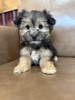 processed/4a1736c7-8442-4156-a4c3-dd7dfab1d2f4/listing/942634f4-e188-4eb1-ae3a-82756d7996bd/993fab50-c30e-4b47-be58-b9eef0985465