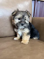 processed/4a1736c7-8442-4156-a4c3-dd7dfab1d2f4/listing/9cde9ee1-0193-4cdc-ad14-083e98386384/02bbfe3e-1990-4830-b530-0f5c12b70eed