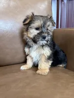 processed/4a1736c7-8442-4156-a4c3-dd7dfab1d2f4/listing/9cde9ee1-0193-4cdc-ad14-083e98386384/472fc261-14d1-41c4-be97-d22eedeb38f7