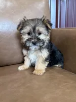 processed/4a1736c7-8442-4156-a4c3-dd7dfab1d2f4/listing/9cde9ee1-0193-4cdc-ad14-083e98386384/53eb5f55-1ec0-42d0-91c4-331da58dc45e