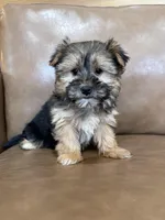 processed/4a1736c7-8442-4156-a4c3-dd7dfab1d2f4/listing/9cde9ee1-0193-4cdc-ad14-083e98386384/81418f2c-3674-4c59-b3aa-9635d97587b5