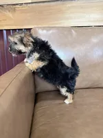 processed/4a1736c7-8442-4156-a4c3-dd7dfab1d2f4/listing/9cde9ee1-0193-4cdc-ad14-083e98386384/92a5ddc0-0669-483d-99bc-eec812e589ad