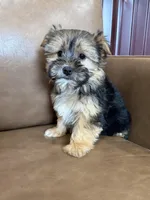 processed/4a1736c7-8442-4156-a4c3-dd7dfab1d2f4/listing/9cde9ee1-0193-4cdc-ad14-083e98386384/99f918db-ed36-4e2e-b573-4df830b9948d