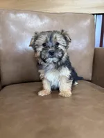 processed/4a1736c7-8442-4156-a4c3-dd7dfab1d2f4/listing/9cde9ee1-0193-4cdc-ad14-083e98386384/b2d2ad75-496d-4a16-b5e2-82c06d0d0b0d