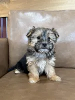 processed/4a1736c7-8442-4156-a4c3-dd7dfab1d2f4/listing/9cde9ee1-0193-4cdc-ad14-083e98386384/c865ba94-0bed-4806-a0c0-a569b7848e1f