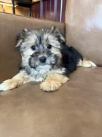 processed/4a1736c7-8442-4156-a4c3-dd7dfab1d2f4/listing/9cde9ee1-0193-4cdc-ad14-083e98386384/fceeb1e0-7a22-448d-a781-ed994b2b36c8