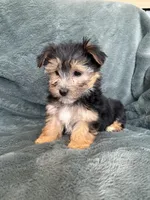 processed/4a1736c7-8442-4156-a4c3-dd7dfab1d2f4/listing/ac2fab80-ffeb-433e-8f45-db0224f9efbe/2c485abb-ec29-4e7a-aa15-9eb87b6199a1