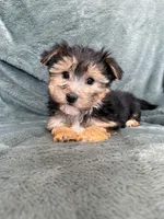 processed/4a1736c7-8442-4156-a4c3-dd7dfab1d2f4/listing/ac2fab80-ffeb-433e-8f45-db0224f9efbe/4ab5818c-4f37-4c71-b016-c2b3cc98c73e