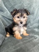 processed/4a1736c7-8442-4156-a4c3-dd7dfab1d2f4/listing/ac2fab80-ffeb-433e-8f45-db0224f9efbe/663246ab-3fc2-4ab6-bd86-02ad51bb70a8