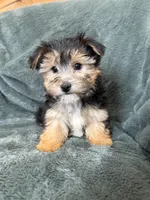 processed/4a1736c7-8442-4156-a4c3-dd7dfab1d2f4/listing/ac2fab80-ffeb-433e-8f45-db0224f9efbe/79b4b330-f558-498a-869a-5527b2db22de