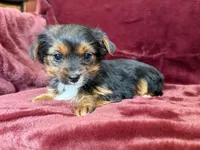 processed/4a1736c7-8442-4156-a4c3-dd7dfab1d2f4/listing/b7db4884-02dc-40e8-a133-c3cb4b893ddb/0e0e0c02-9bc5-42d8-84c3-01339280b900