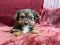 processed/4a1736c7-8442-4156-a4c3-dd7dfab1d2f4/listing/b7db4884-02dc-40e8-a133-c3cb4b893ddb/387ce795-c80a-4140-8762-9628e4387c00