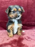 processed/4a1736c7-8442-4156-a4c3-dd7dfab1d2f4/listing/b7db4884-02dc-40e8-a133-c3cb4b893ddb/531cceb6-e8b0-4ea3-adfb-da1c297c398f