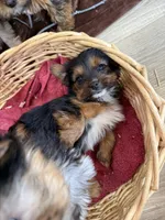 processed/4a1736c7-8442-4156-a4c3-dd7dfab1d2f4/listing/b7db4884-02dc-40e8-a133-c3cb4b893ddb/817f3248-4a5a-4803-b9b4-6e2a05033769