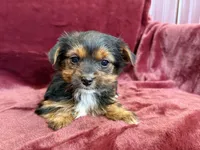 processed/4a1736c7-8442-4156-a4c3-dd7dfab1d2f4/listing/b7db4884-02dc-40e8-a133-c3cb4b893ddb/878c8945-cd70-421d-8c23-fb259fa0d1c4