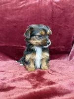 processed/4a1736c7-8442-4156-a4c3-dd7dfab1d2f4/listing/b7db4884-02dc-40e8-a133-c3cb4b893ddb/f0e672b6-e958-4b6e-a031-717770d7f721