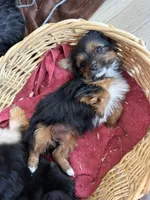 processed/4a1736c7-8442-4156-a4c3-dd7dfab1d2f4/listing/b7db4884-02dc-40e8-a133-c3cb4b893ddb/f1ef95f3-d6dc-47f3-8c6a-d0da42690bb5