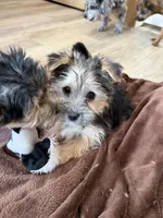 processed/4a1736c7-8442-4156-a4c3-dd7dfab1d2f4/listing/be91d18b-9def-40af-a13c-fbdd85dab5e4/34bce73e-0104-4d01-8dfd-2813c26115ee