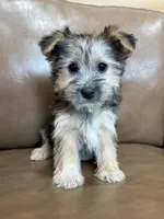 processed/4a1736c7-8442-4156-a4c3-dd7dfab1d2f4/listing/be91d18b-9def-40af-a13c-fbdd85dab5e4/3ec39fd2-628e-4207-9e50-a0f2ed025f36