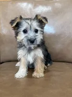 processed/4a1736c7-8442-4156-a4c3-dd7dfab1d2f4/listing/be91d18b-9def-40af-a13c-fbdd85dab5e4/45c8ebdd-a8c4-4e35-a462-5bd7c8fb72b2