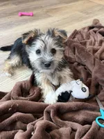 processed/4a1736c7-8442-4156-a4c3-dd7dfab1d2f4/listing/be91d18b-9def-40af-a13c-fbdd85dab5e4/53dbb4a8-a6ab-4c80-bd2b-4053a4d08136