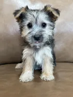 processed/4a1736c7-8442-4156-a4c3-dd7dfab1d2f4/listing/be91d18b-9def-40af-a13c-fbdd85dab5e4/5946a013-8b71-4b11-a9c0-02b9efc762fd