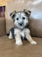 processed/4a1736c7-8442-4156-a4c3-dd7dfab1d2f4/listing/be91d18b-9def-40af-a13c-fbdd85dab5e4/b2c6e12c-e0d8-49b7-8f5d-b1ad7c7194bf