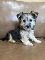 processed/4a1736c7-8442-4156-a4c3-dd7dfab1d2f4/listing/be91d18b-9def-40af-a13c-fbdd85dab5e4/db0186a1-f64d-4500-bc11-de60aab0c50c