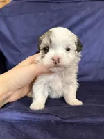 processed/4a1736c7-8442-4156-a4c3-dd7dfab1d2f4/listing/ec007b3b-59a9-43bf-b44b-42ddac47499f/715b6439-3f25-4558-bfec-39fc85fccdd2