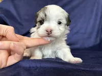 processed/4a1736c7-8442-4156-a4c3-dd7dfab1d2f4/listing/ec007b3b-59a9-43bf-b44b-42ddac47499f/b9d1cf25-89f7-44f5-93fa-55563278f734