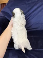 processed/4a1736c7-8442-4156-a4c3-dd7dfab1d2f4/listing/ec007b3b-59a9-43bf-b44b-42ddac47499f/d9247410-4c9d-4fc7-b8da-c1de00d6c869