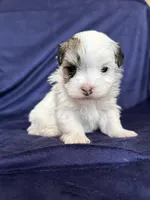 processed/4a1736c7-8442-4156-a4c3-dd7dfab1d2f4/listing/ec007b3b-59a9-43bf-b44b-42ddac47499f/dd08b392-4a69-4941-9143-2851e1ca6e98