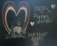 processed/4a18dffb-8d06-48a3-b938-25efb6f890d6/facility/2d24b2f1-3332-49ef-83d2-36fa748b3cbb