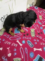 processed/4a18dffb-8d06-48a3-b938-25efb6f890d6/listing/5107d1d3-7c2b-4563-b13b-37ee44dfd2ab/0657115f-48b9-4cdd-b99f-5aea47005890