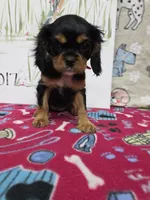 processed/4a18dffb-8d06-48a3-b938-25efb6f890d6/listing/5107d1d3-7c2b-4563-b13b-37ee44dfd2ab/271ee3d3-67b8-4e8b-a948-12e78ebe2220