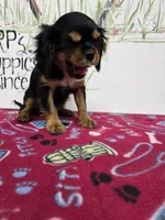 processed/4a18dffb-8d06-48a3-b938-25efb6f890d6/listing/5107d1d3-7c2b-4563-b13b-37ee44dfd2ab/963d9e2f-1b12-4717-ad9a-37e519169b02