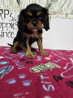 processed/4a18dffb-8d06-48a3-b938-25efb6f890d6/listing/5107d1d3-7c2b-4563-b13b-37ee44dfd2ab/e1fea85f-d80b-4573-928d-53af7603b783