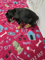 processed/4a18dffb-8d06-48a3-b938-25efb6f890d6/listing/5107d1d3-7c2b-4563-b13b-37ee44dfd2ab/ecd681fc-989f-4c6d-9699-c946b42d4dd5