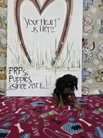 processed/4a18dffb-8d06-48a3-b938-25efb6f890d6/listing/5107d1d3-7c2b-4563-b13b-37ee44dfd2ab/f42e9a6f-89fb-4527-ad99-7cd00b78cf7a