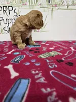 processed/4a18dffb-8d06-48a3-b938-25efb6f890d6/listing/da00ffc1-7c0f-43d4-8147-3386430b95a7/126bb363-6ace-4df2-8f0e-056ec2631b4e