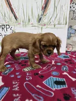 processed/4a18dffb-8d06-48a3-b938-25efb6f890d6/listing/f72120b3-50f4-4807-90a6-d59e6eb54453/73536d03-f441-40a7-b79e-70a77640c658