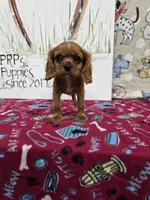 processed/4a18dffb-8d06-48a3-b938-25efb6f890d6/listing/f72120b3-50f4-4807-90a6-d59e6eb54453/7f1f7cc1-ce53-4e74-a720-68d53642fbcd