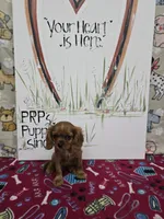 processed/4a18dffb-8d06-48a3-b938-25efb6f890d6/listing/f72120b3-50f4-4807-90a6-d59e6eb54453/b0b07bd8-83c0-4ada-875e-951419bf0fce