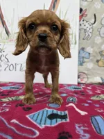 processed/4a18dffb-8d06-48a3-b938-25efb6f890d6/listing/f72120b3-50f4-4807-90a6-d59e6eb54453/bcfb94bf-b534-42b9-b2f4-6374dfa2898a